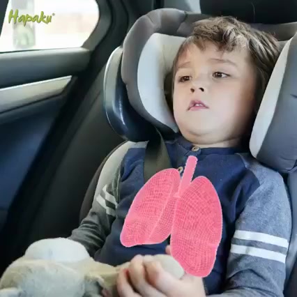 Túi Than Hoạt Tính Hapaku khử mùi ô tô