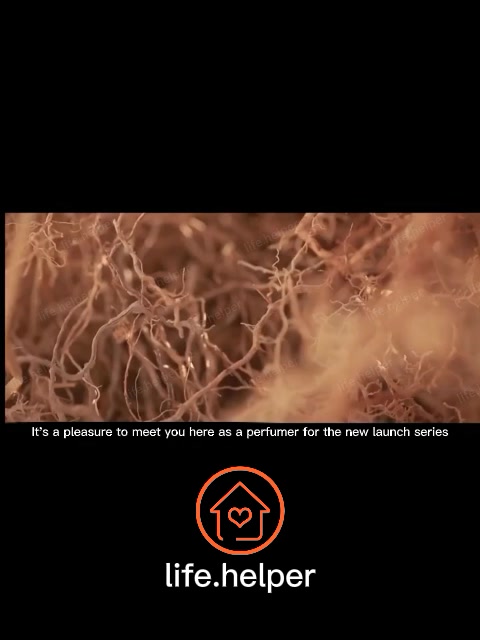 Chai Lớn💎 Tinh Dầu Nguyên Chất 100ML, Chọn Mùi | Tinh dầu thiên nhiên | Xông Thơm Phòng, Tốt Sức Khỏe, Đuổi Muỗi