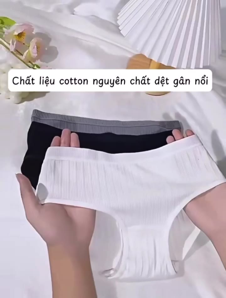 Quần Lót Nữ Cotton Tăm Nguyên Chất Co Giãn Tốt Japan M304 | BigBuy360 - bigbuy360.vn