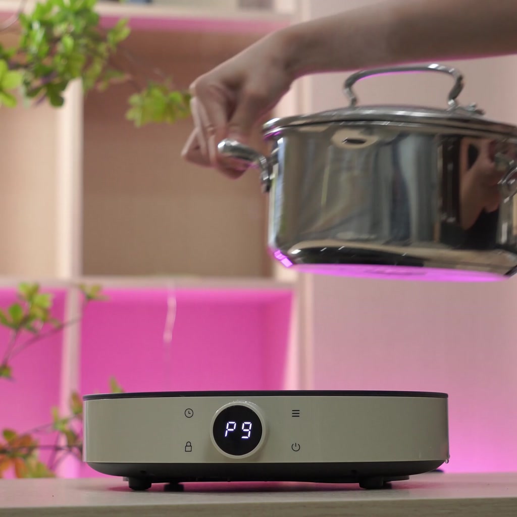 Bếp từ đơn Lumias LK24-220B