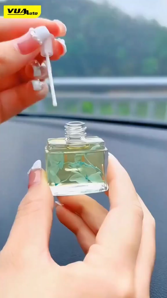 Nước Hoa Kẹp Cửa Gió BUSHINECO