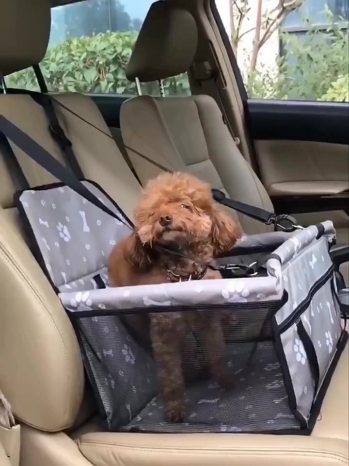 Ghế vận chuyển Chó Mèo trên xe hơi chống bẩn, chống cào xước - Love Pets Shop