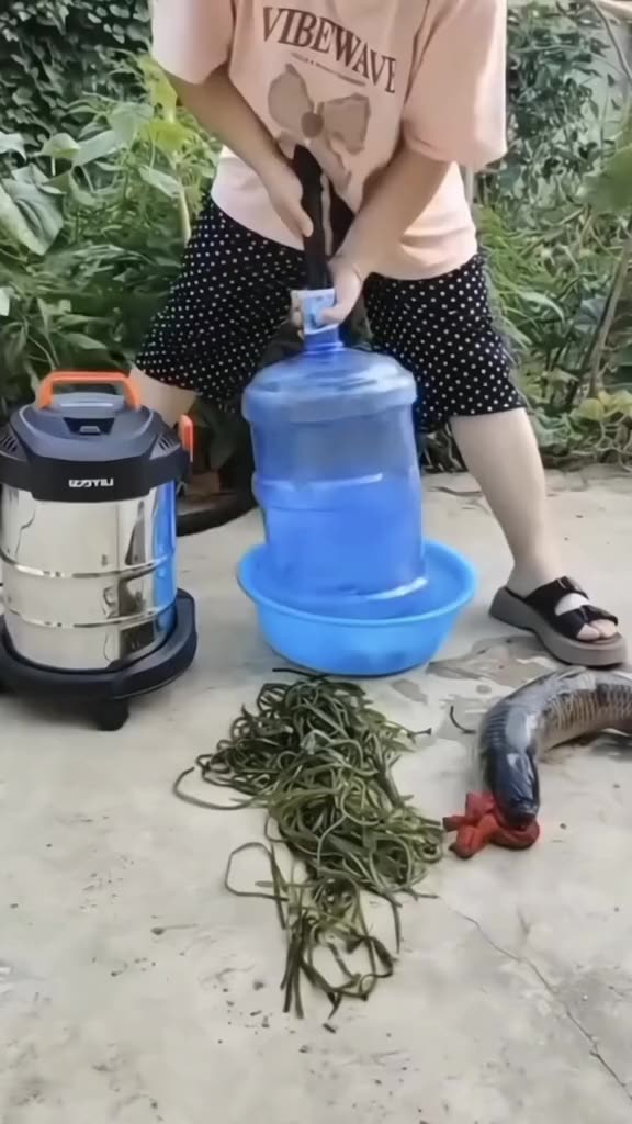 Gợi ý các mẫu máy hút bụi YILI 12L cho gia đình và công việc