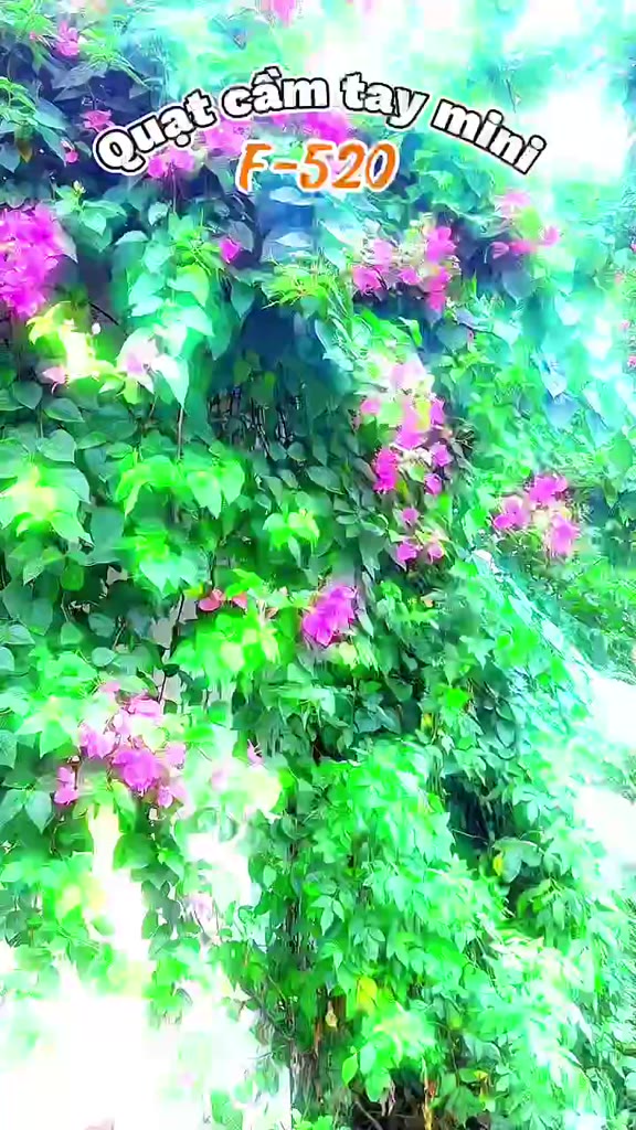 Quạt Cầm Tay Toubor 5.000mah F-520 Habitek | Con Lăn 120 Cấp Gió - LED Hiển Thị - Có Sò Lạnh | BH 12T | BigBuy360 - bigbuy360.vn