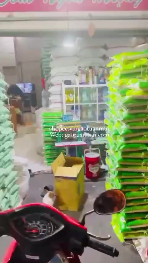 Gạo ST25 Sóc Trăng (Bao 5ky) | BigBuy360 - bigbuy360.vn