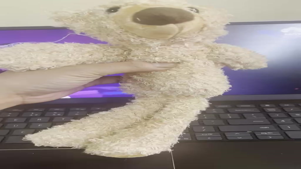 Top 9 Gấu Gắn Áo To Đáng Mua Nhất Cho Phong Cách Thời Trang Của Bạn