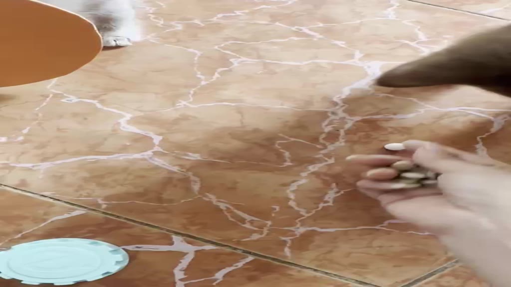 Vitamin tổng hợp Hi Cats