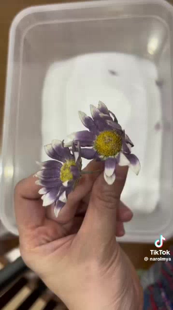 1 Kg hạt hút ẩm màu trắng dùng để làm hoa khô