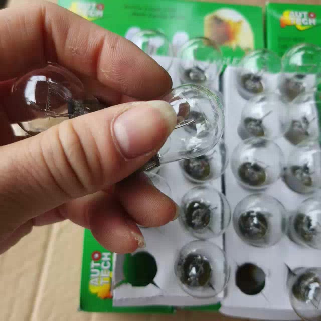 Hộp 10 Bóng Đèn Xi Nhân, Đèn Phanh Ô Tô, Xe Máy 12V _ 24V 1 Tóc, Hai Tóc