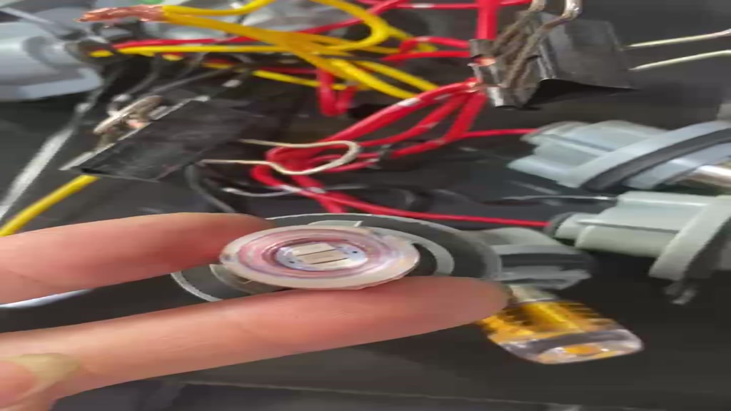 Bóng Đèn Xi Nhan, Phanh Hậu, Lùi LED