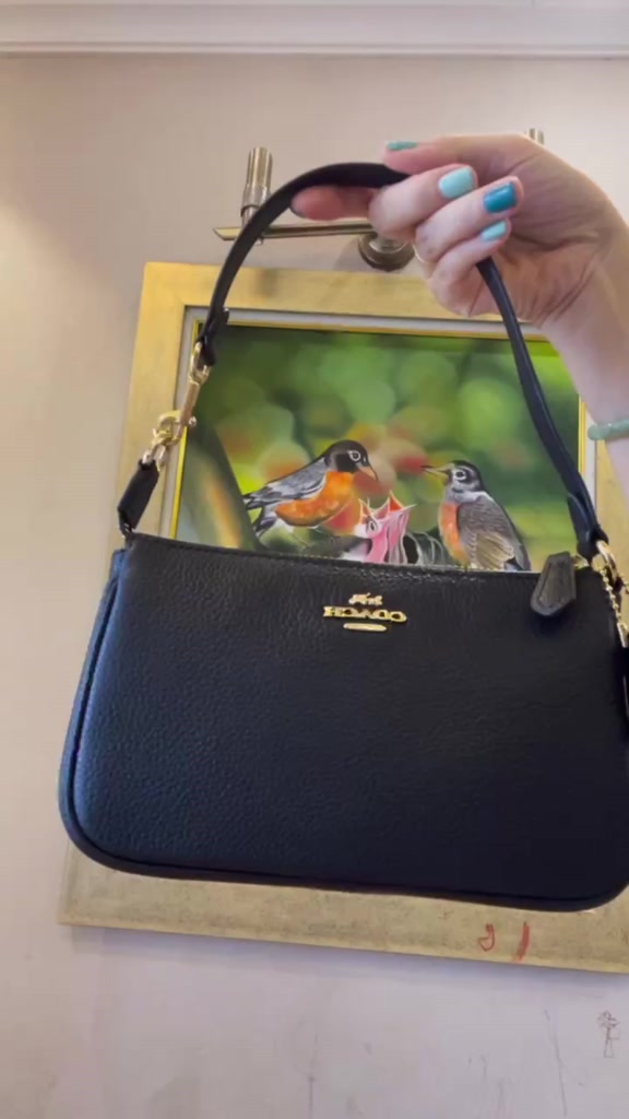 Túi Coach Nolita 19