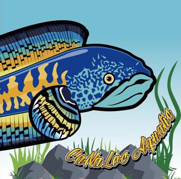 Cà Na Lóc_Aquatic