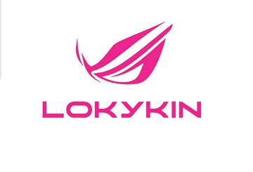 Lokykin Official Store