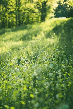 Chuyên Sỉ Sản Phẩm Chính Hãng