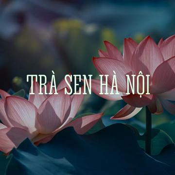 TRÀ SEN HÀ NỘI