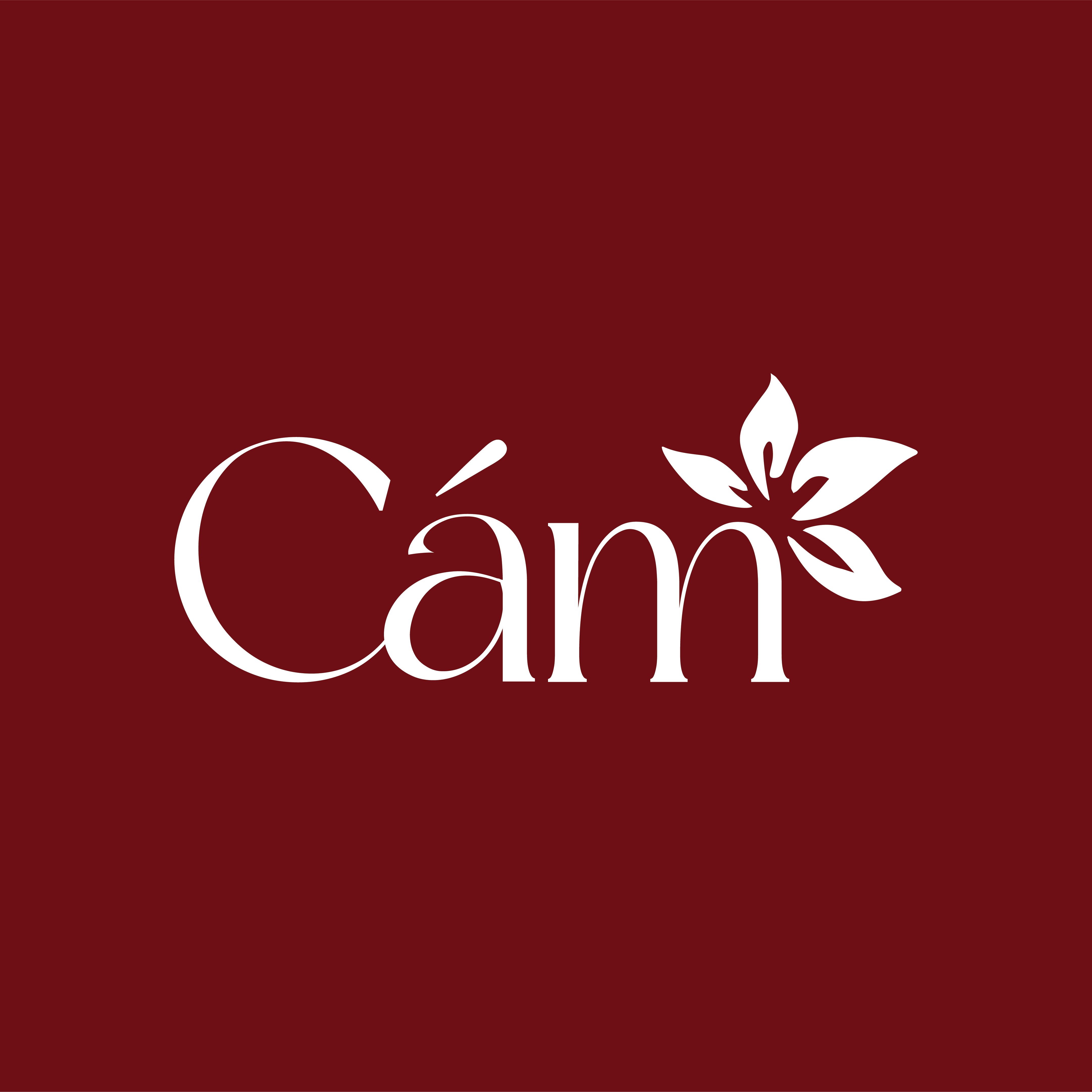 aodaicam.vn