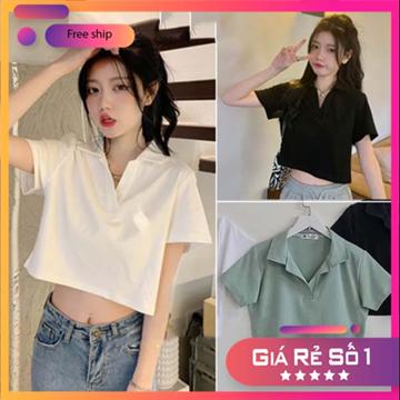 Áo croptop polo nữ ngắn tay form rộng  , áo thun croprop nữ cổ bẻ ngắn tay 100% cotton kiểu dáng hàn M64