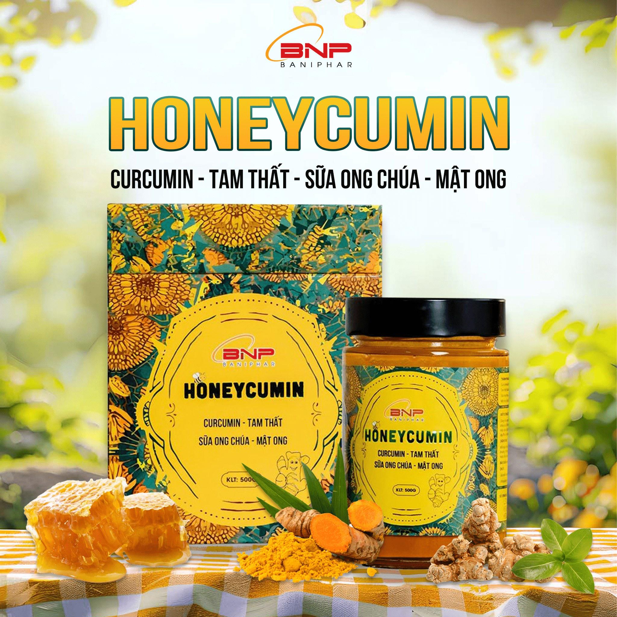 Dược phẩm bắc ninh - Baniphar