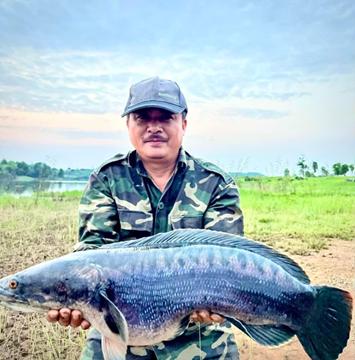 Shop Toán Nhà Quê