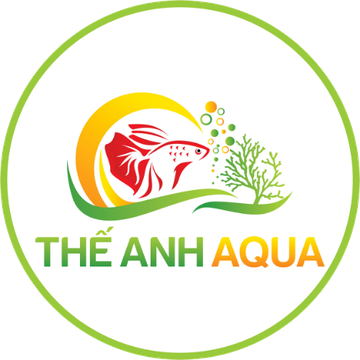 Thế Anh AQUA