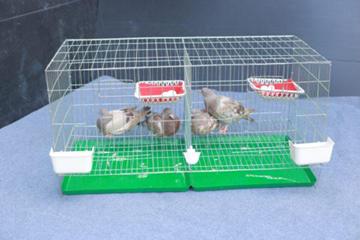 Tổng kho Minh Phát