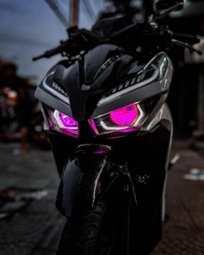 Thần Đèn Việt Nam