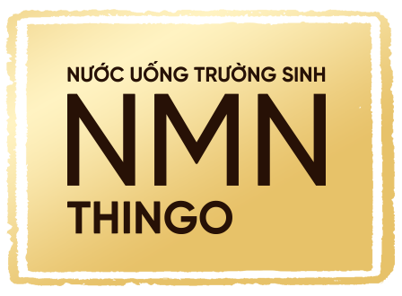NMN THINGO STORE MIỀN NAM
