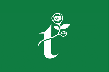 Tâm Bình An - Trà Hoa Vàng