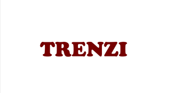 Trenzi Store