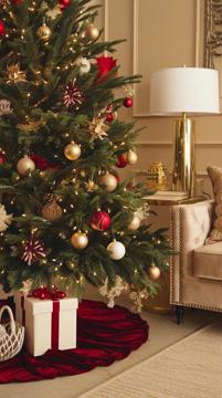 cường phụ kiện noel