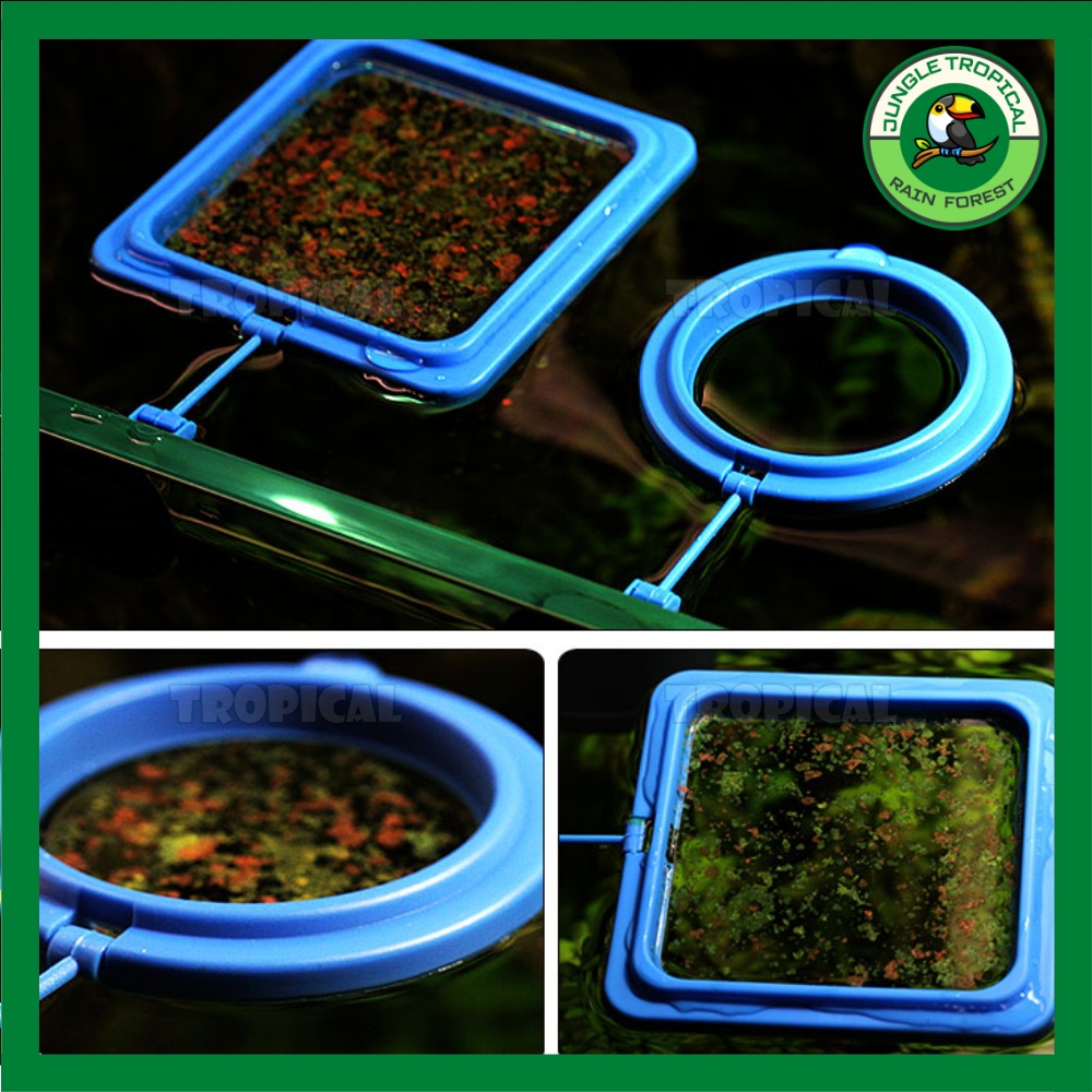 Vòng cho cá ăn - giữ thức ăn không bị phân tán - Loại mỏng/dày - hình tròn/vuông