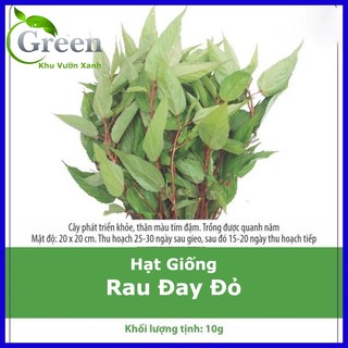 Hạt giống rau đay đỏ - gói 10gam