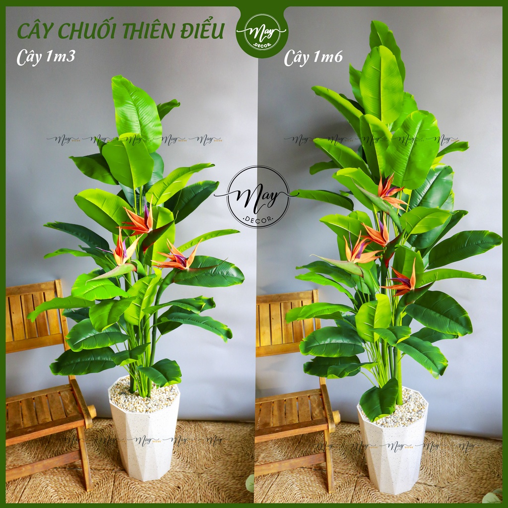Cây giả, Chuối thiên điểu giả trang trí 85,1m3,1m6