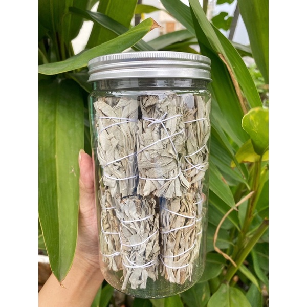 White Sage - Xô Thơm 10g Hộp Lớn/ Nhỏ
