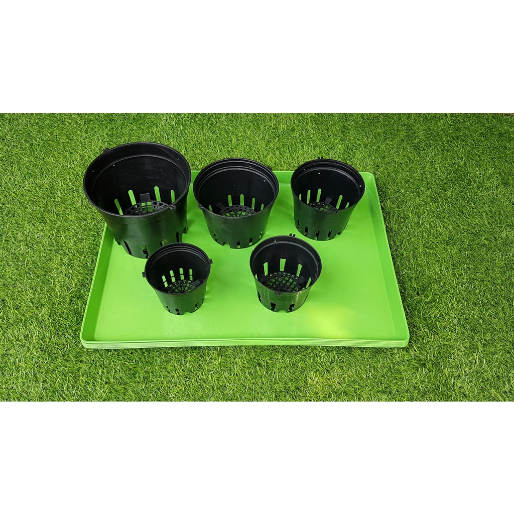 Combo 5 khay xanh 45-60-3cm đựng nước trồng lan ươm giống Và lót chuồng thú cưng