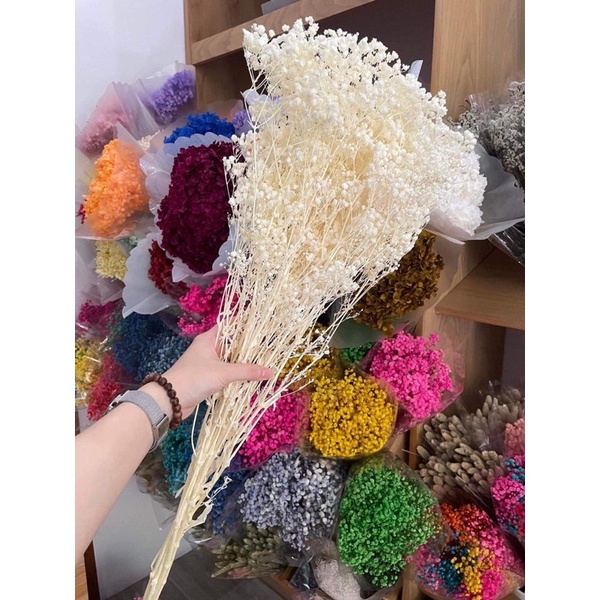 (Loại 1) Hoa baby trắng khô hàng cao cấp dùng decor chụp hình trang trí, cắm hoa