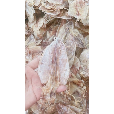 10 CON LỠ BỰ ĐẸP MỚI MGON CÀ MAU