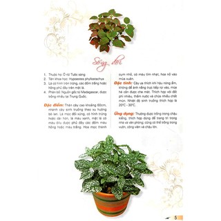 Sách - 365 Loài Hoa Cảnh