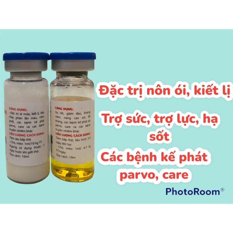 Cặp Thuốc Ks Trị Đi Ngoài, Bệnh Kế Phát Parvo, Care Cho Chó