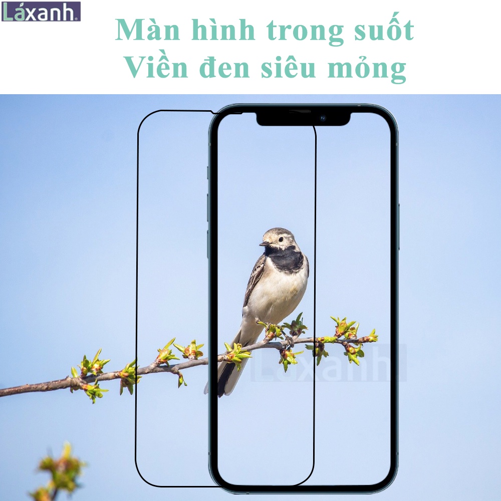 Cường lực iPhone cao cấp full màn tràn viền chống vân tay 6/6s/6p/6sp/7/7p/8/8p/x/xs/xr/11/11pro/11prm/12/13/14