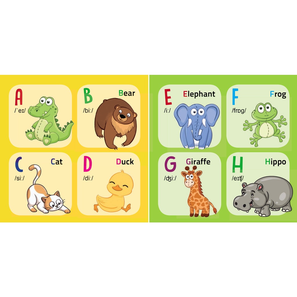 MY FIRST PICTURE BOOK - Bộ bìa cứng Thư viện hình ảnh đầu tiên cho bé, nhận biết Thế Giới xung quanh