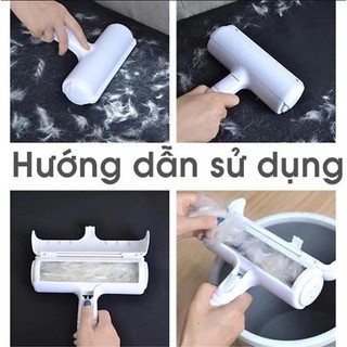 Cây Lăn Lông Tĩnh Điện