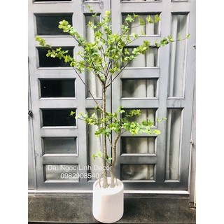 Cây giả , cây thạch nam 1,6m