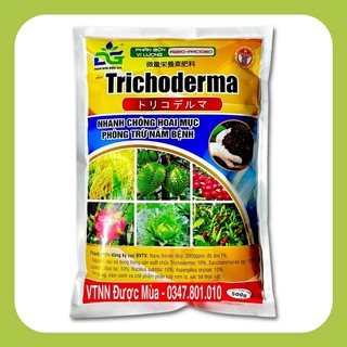 Trichoderma - phân vi sinh nhanh hoai mục, ủ phân, phòng trừ nấm bệnh, giải độc hữu cơ