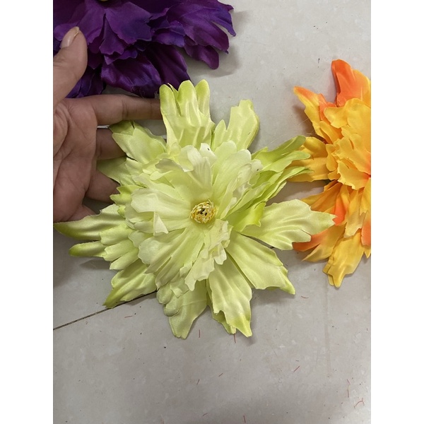 Mẫu đơn phi rời thanh lý