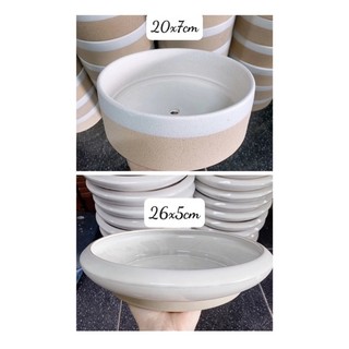 Chậu sứ ang tròn trồng cây
