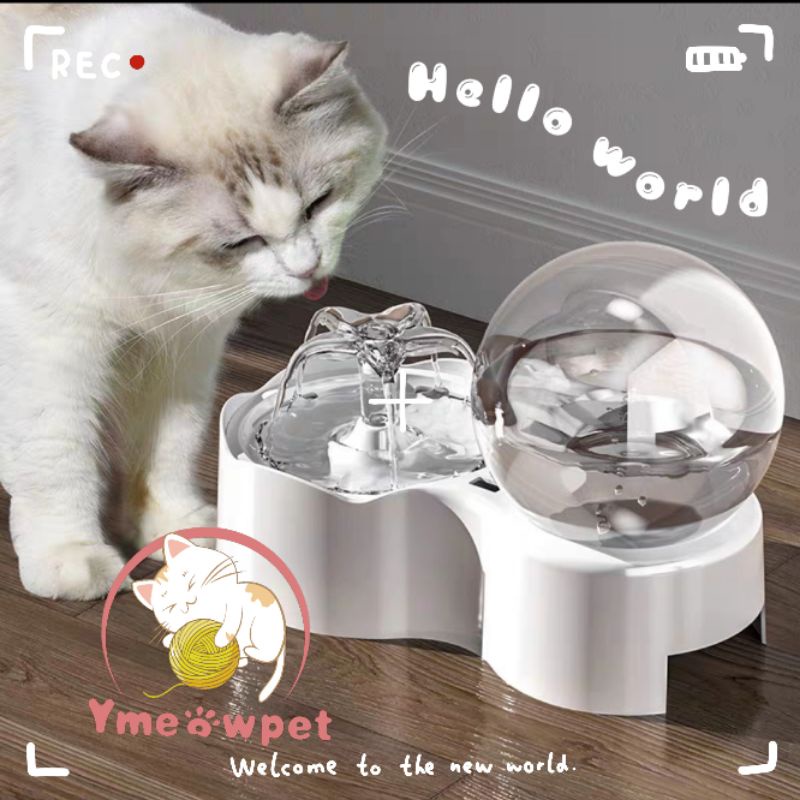 Máy uống nước lọc nước trên động cho mèo / đài phun nước tự động cho thú cưng dùng tích lớn phù hợp cho mèo chân lùn