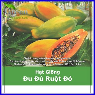 Hạt Giống Đu Đủ Ruột Đỏ Lai F1 Đài Loan