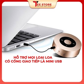 Dây cáp sạc loa bluetooth, cáp sạc đầu v3 - DSLB