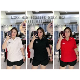 Áo polo ngắn thêu bigsize linh móm